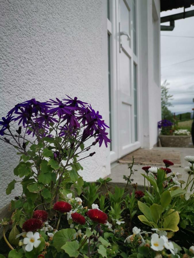 Apartman Katja Rakovica Exterior foto